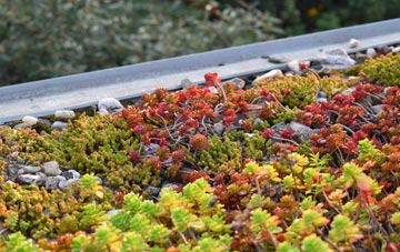 the cost of Cavendish green roof installation