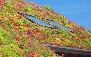 Cavendish living roof systems